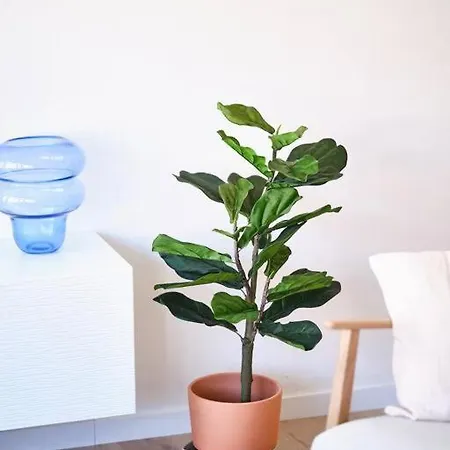 Hugo By The Harbor, Light-filled And Centrally Located - Free Parking アパート オステンド