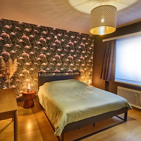 Hugo By The Harbor, Light-filled And Centrally Located - Free Parking Apartment Ostend