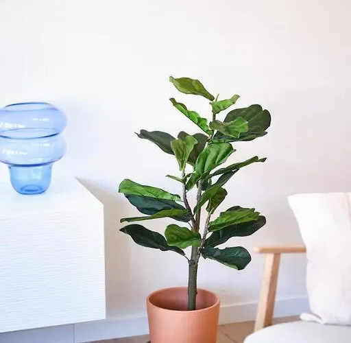 Hugo By The Harbor, Light-filled And Centrally Located - Free Parking アパート オステンド